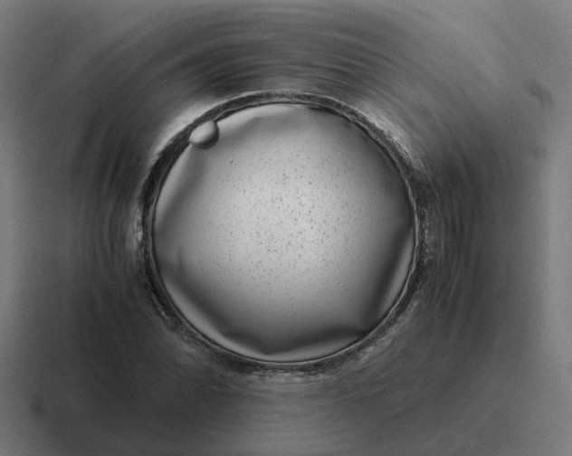 X0000116761070200912311814