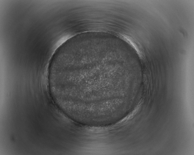 X0000116761071200912311814