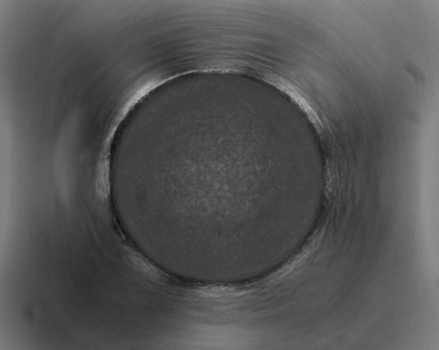X0000116761075200912311814
