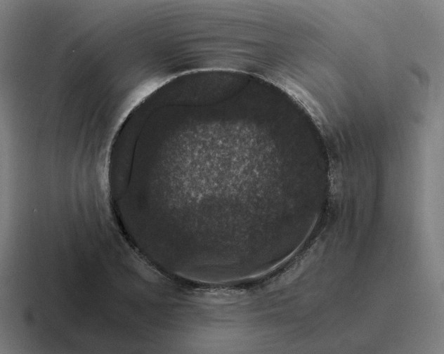 X0000116761077200912311814