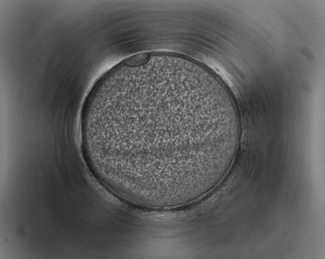 X0000116761080200912311814