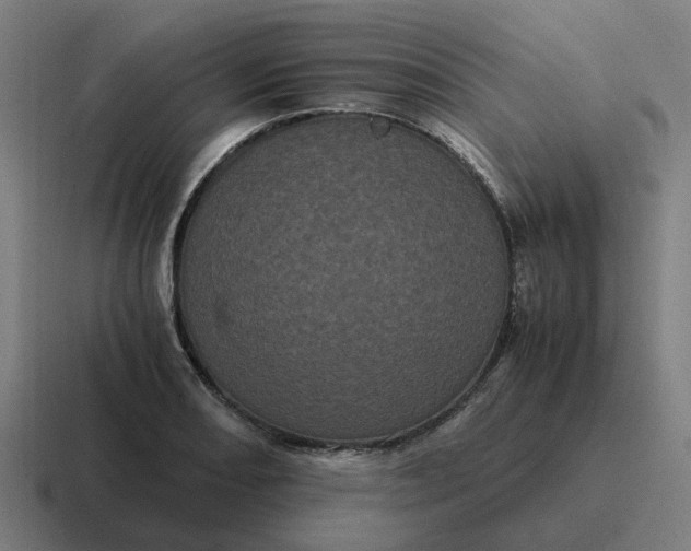 X0000116761082200912311814
