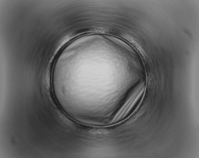 X0000116761083200912311814