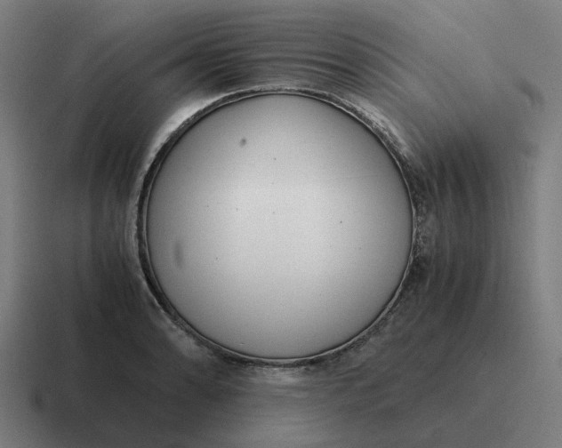X0000116761086200912311814