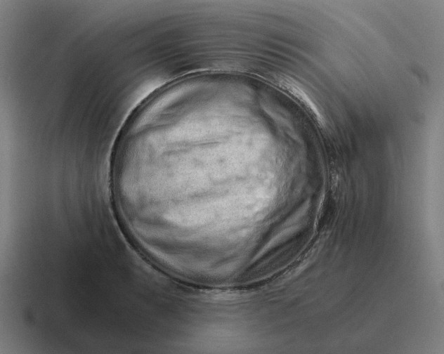 X0000116761087200912311814