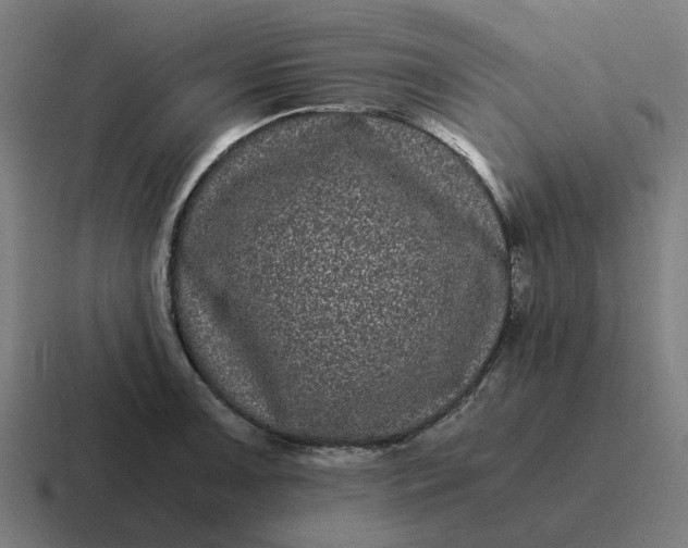 X0000116761091200912311814