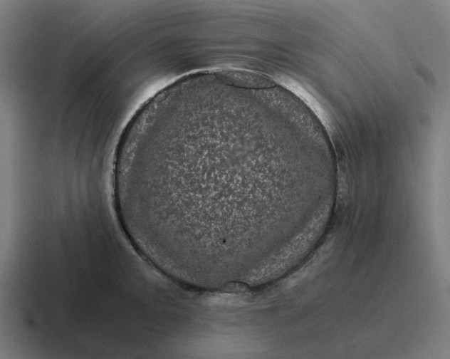 X0000116761093200912311814