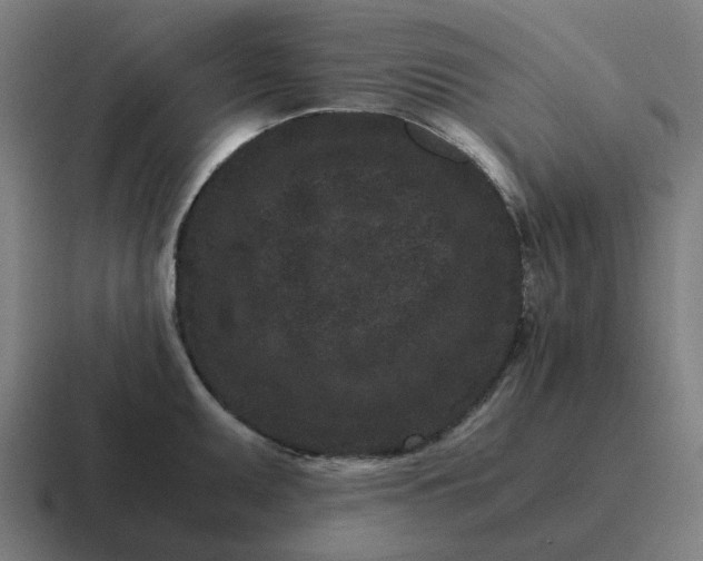 X0000116761095200912311814