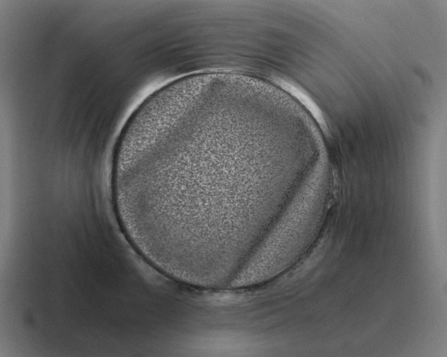 X0000116761099200912311814