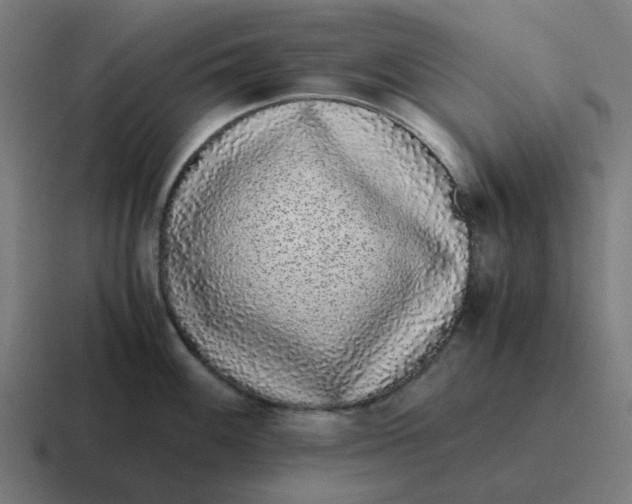 X0000116761100200912311814