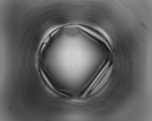 X0000116761102200912311814