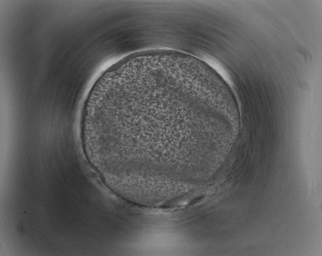 X0000116761104200912311814