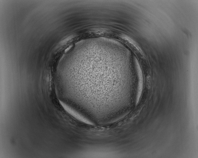 X0000116761111200912311813