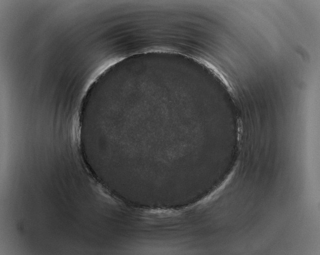 X0000116761117200912311813