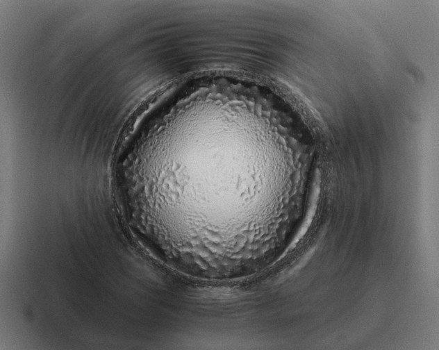 X0000116761121200912311813