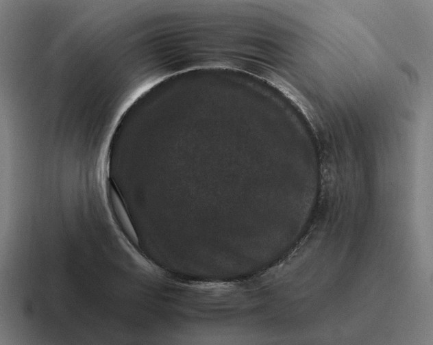 X0000116761127200912311813