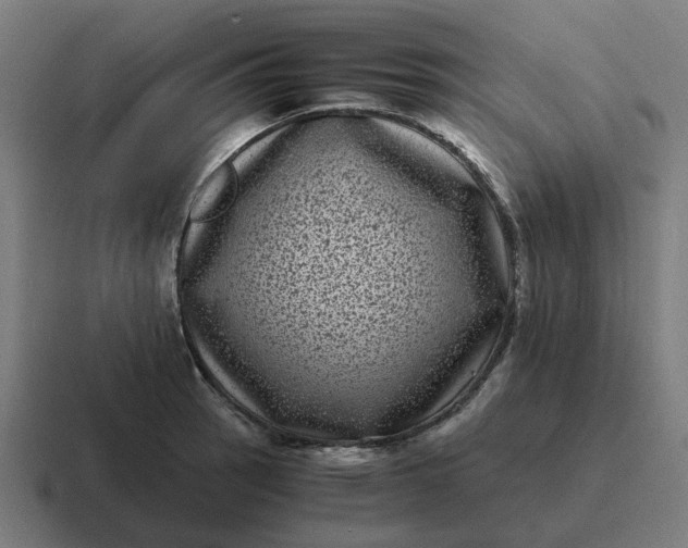 X0000116761137200912311813