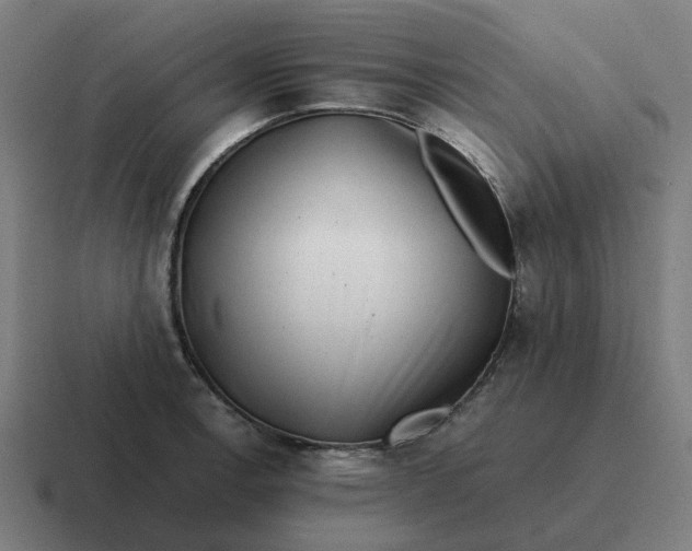 X0000116761138200912311813