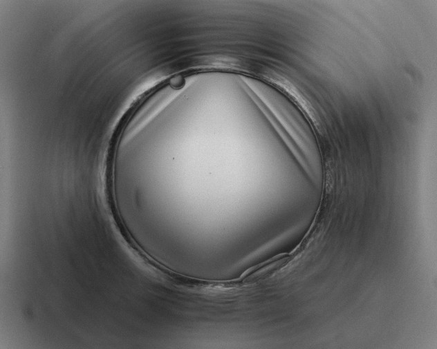 X0000116761139200912311813