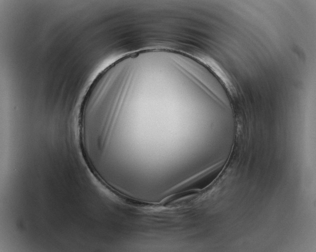 X0000116761143200912311813