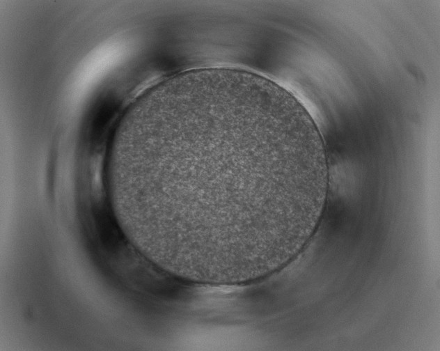 X0000116761150200912311814