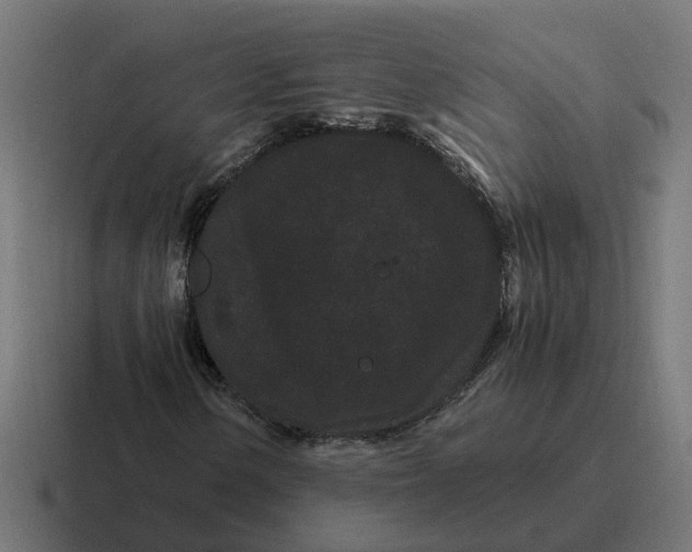 X0000116761154200912311813
