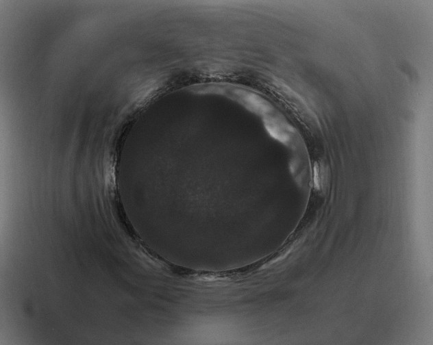 X0000116761155200912311813