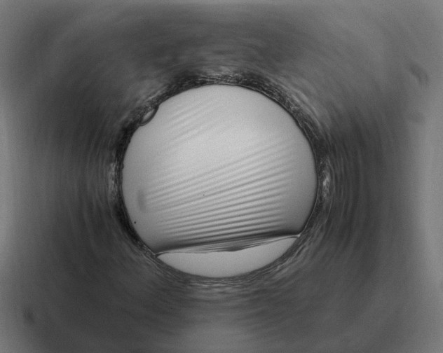 X0000116761156200912311813