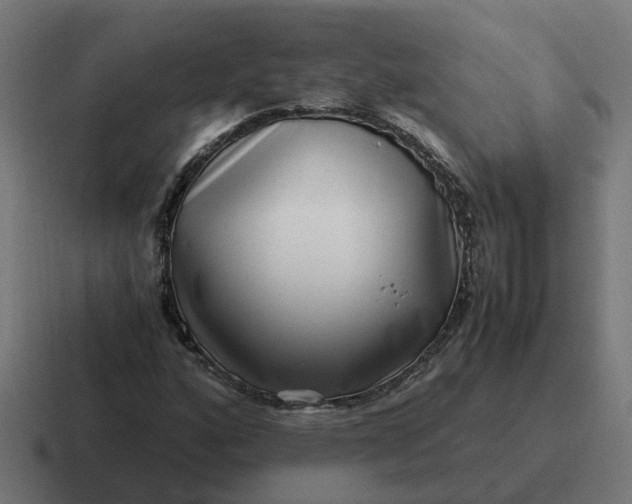 X0000116761160200912311813