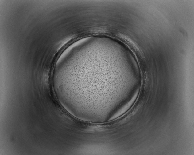X0000116761162200912311813