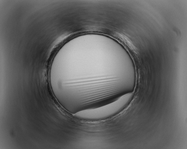 X0000116761164200912311813