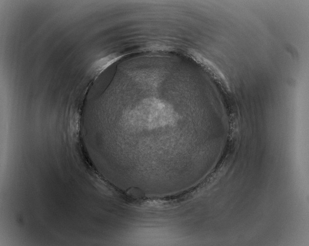 X0000116761169200912311813