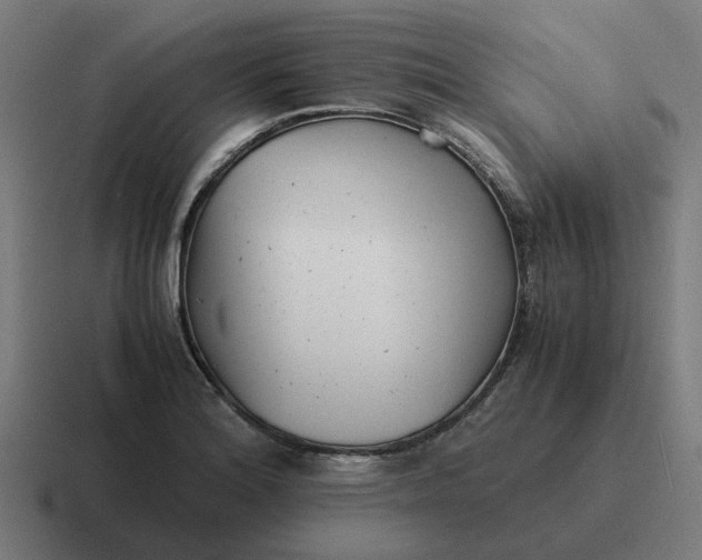 X0000116761180200912311813