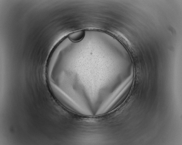 X0000116761182200912311813