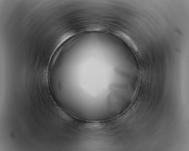 X0000116761186200912311813