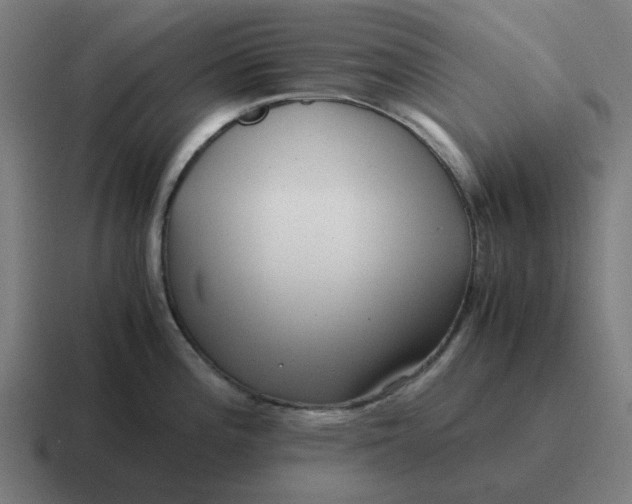 X0000116761196200912311812