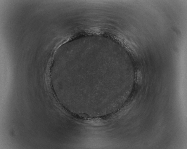 X0000116761201200912311812