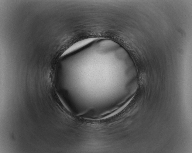 X0000116761202200912311812