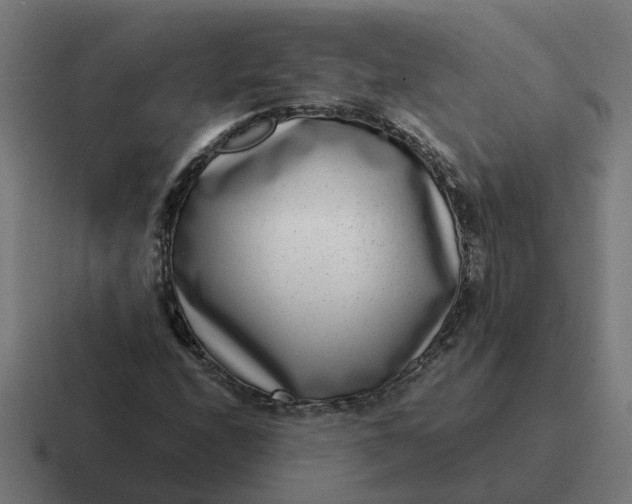 X0000116761208200912311812