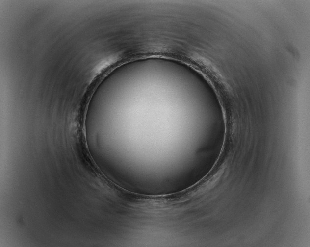 X0000116761210200912311812