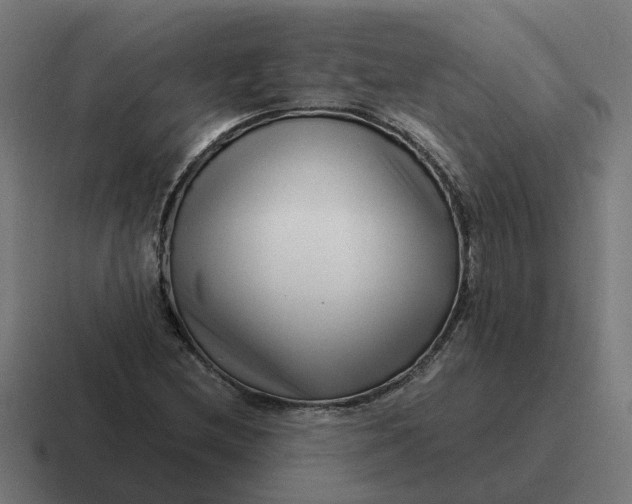 X0000116761212200912311812