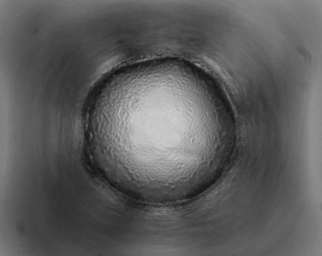 X0000116761219200912311812