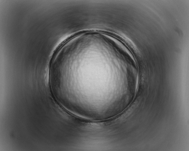 X0000116761224200912311812