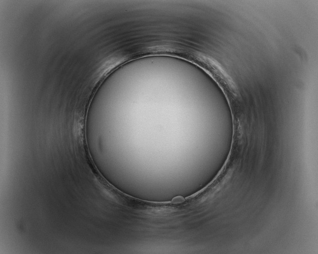 X0000116761225200912311812