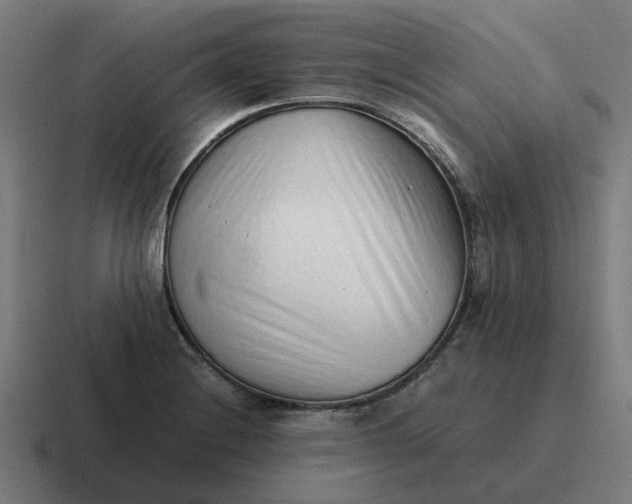 X0000116761228200912311812