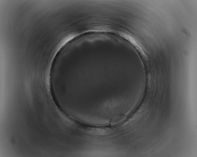 X0000116761229200912311812