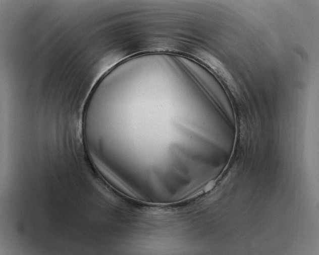 X0000116761234200912311812