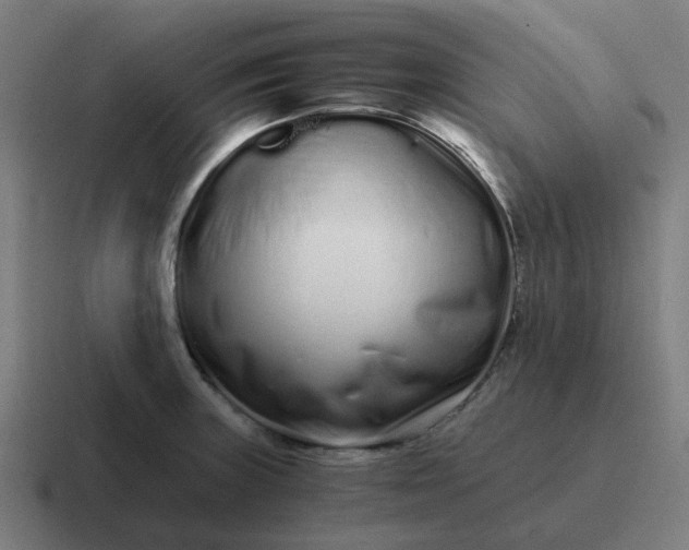 X0000116761235200912311812
