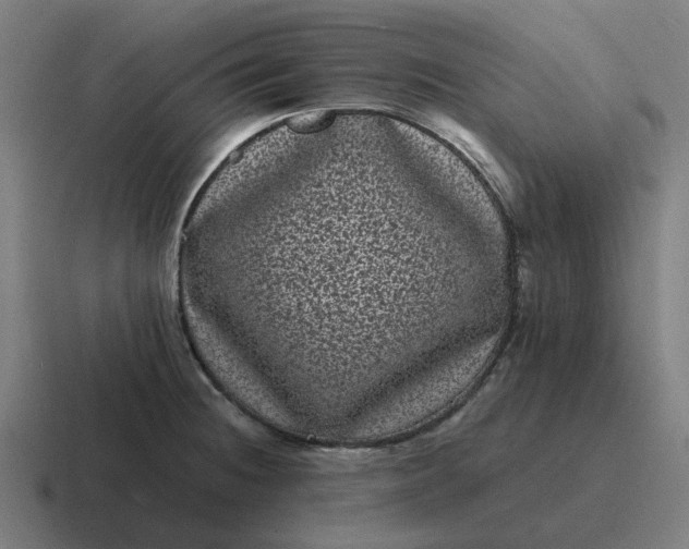 X0000116761236200912311812
