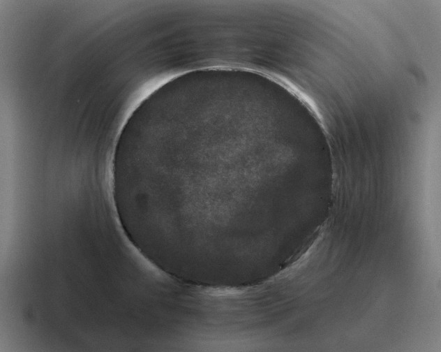 X0000116761239200912311812